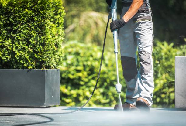 Best Sidewalk and Walkway Cleaning  in Kingsburg, CA